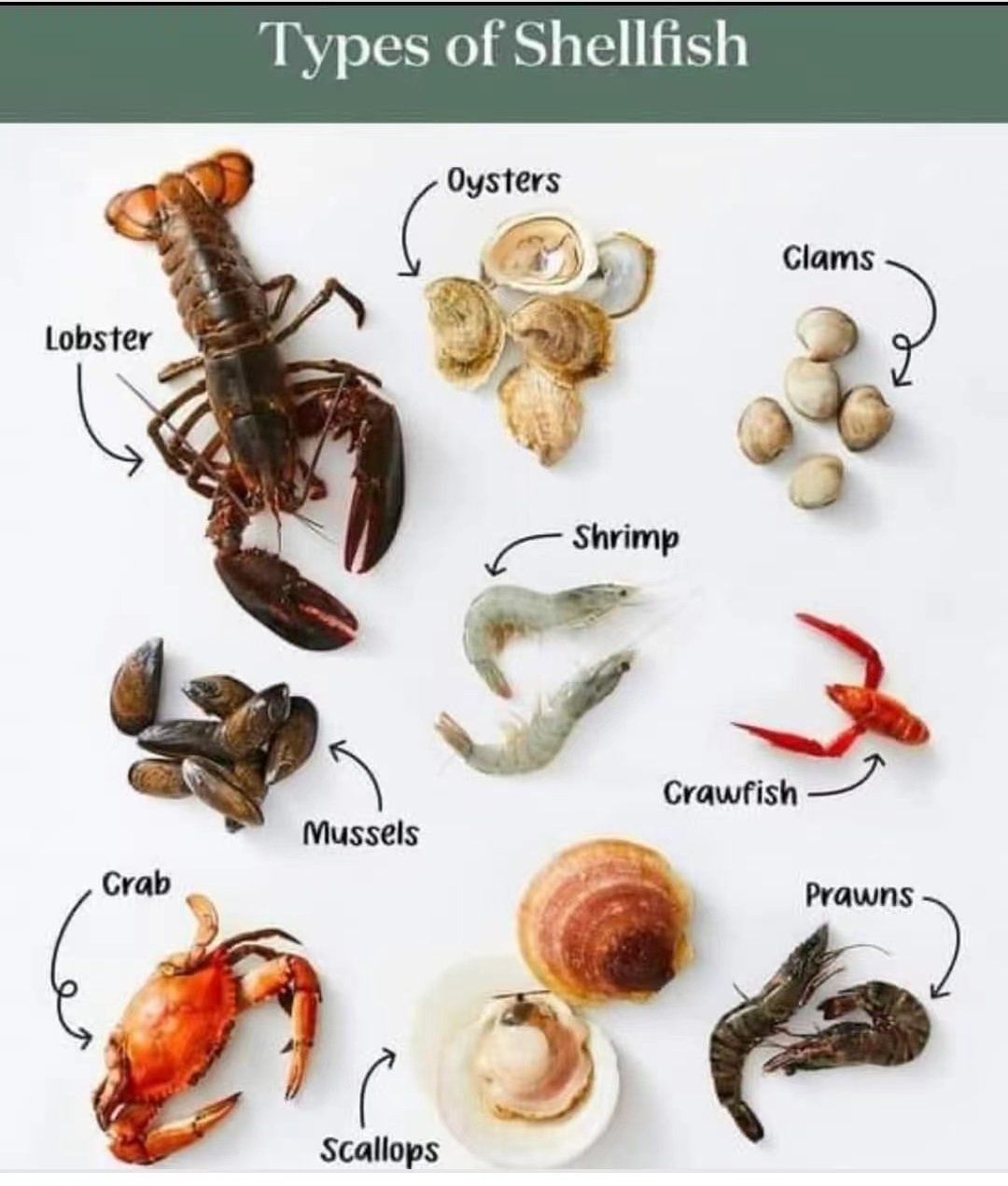 英语